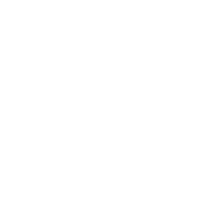 logo light